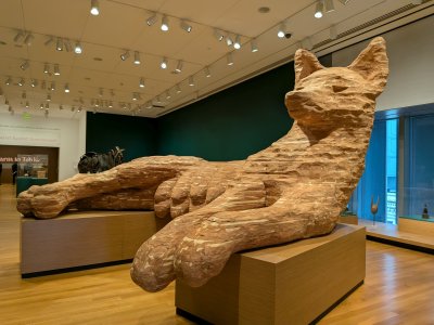 PXL_20251211_190611069.MP-.jpg PXL_20251211_190611069.MP-.jpg