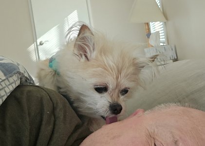 20260130_103155 - copy.jpg