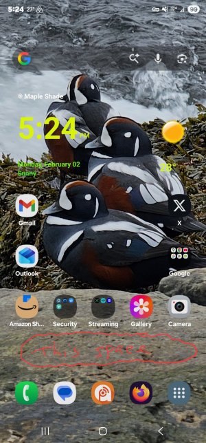 Screenshot_20260202_172431_One UI Home.jpg