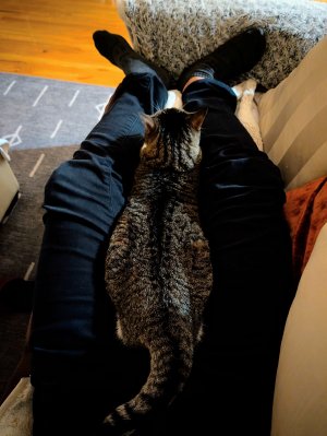 PXL_20260208_060842415 (1).jpg