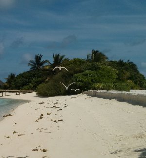 IMG_20130627_113129.jpg