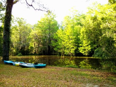 kayaks.jpg