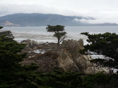20130624_132700.jpg