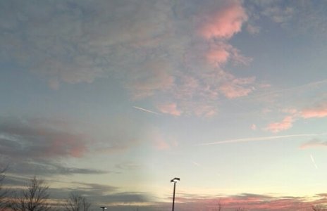 20121125_172403-1.jpg