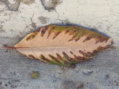 20130316_112503.jpg