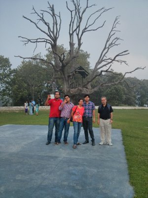 IMG_20130622_171212.jpg