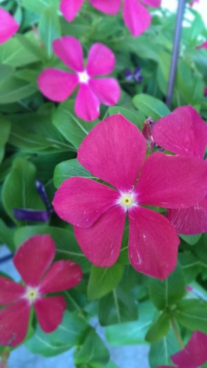 IMAG0108.jpg