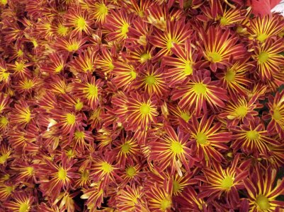 20121007_132743.jpg