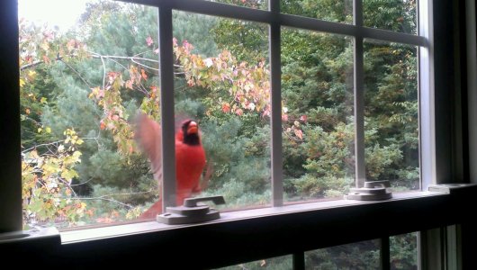 VIDEO0022-0_0000004820.jpg