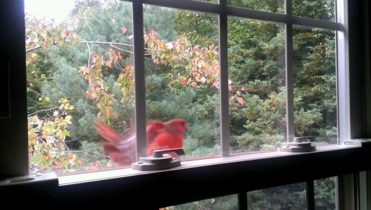 VIDEO0022-0_0000005832.jpg