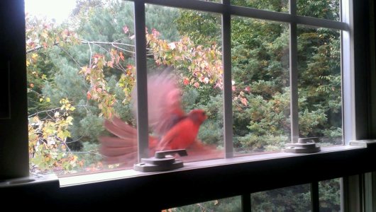 VIDEO0022-0_0000005865.jpg