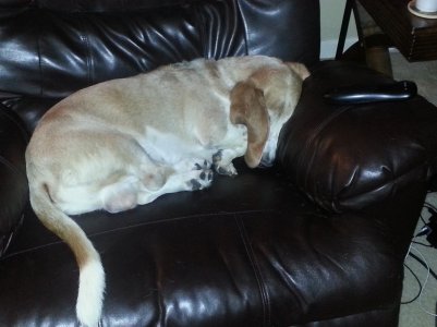 20121231_081524.jpg