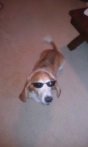 imag0054.jpg