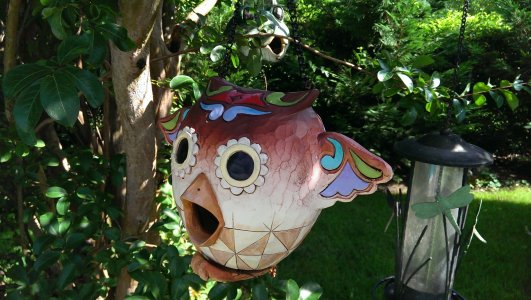7-14-13 Owl Birdfeeder.jpg