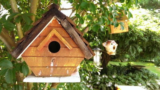 7-14-13 Bird Feeders.jpg