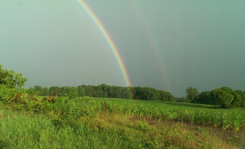 Double Rainbow 3.jpg