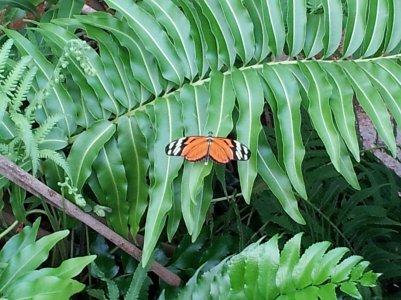 IMG_20130616_182215.jpg