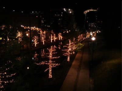IMG_20130330_215521.jpg