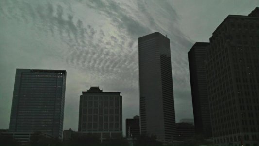 537893_10150729472738703_1870894624_n.jpg