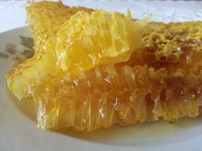 20130808_101248_PerfectlyClear_0001.jpg