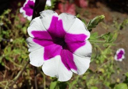 20130718_114608.jpg