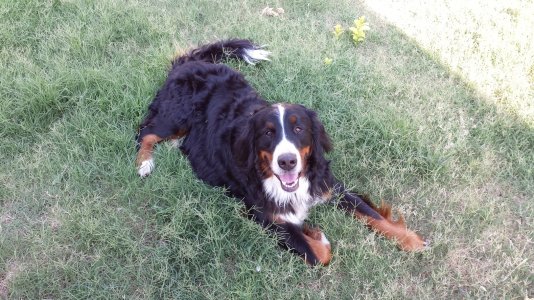 20130707_181244.jpg