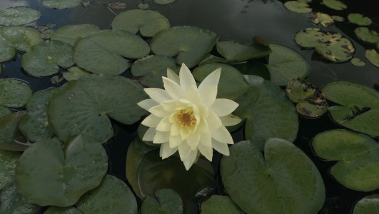 IMAG0394.jpg