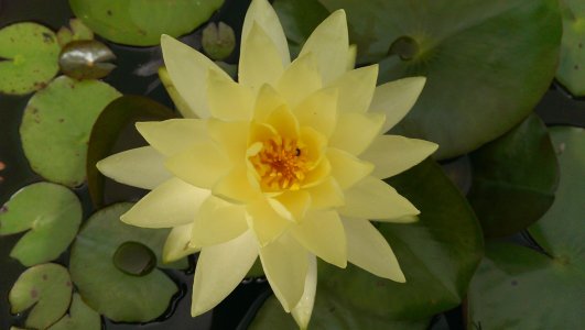 IMAG0419.jpg