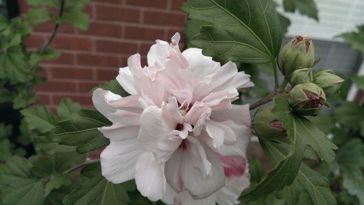 IMAG0424.jpg