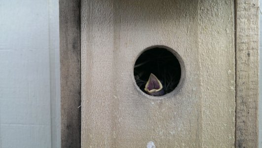 IMAG0437.jpg