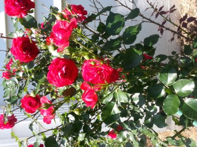 20130609_114457.jpg