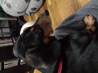 20130610_173608.jpg