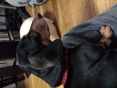 20130610_173629.jpg