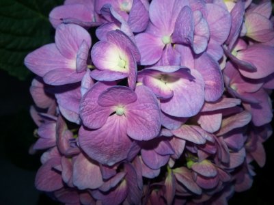 20130609_115734.jpg