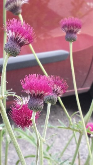 2013-07-18 11.17.57.jpg