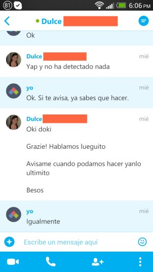 skype.jpg