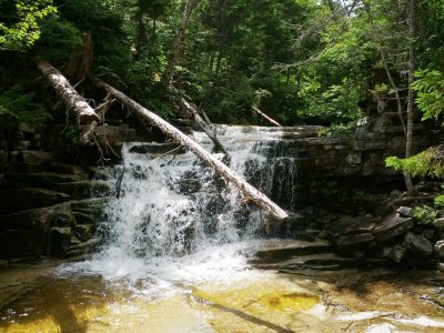 IMG_20130802_142349.jpg