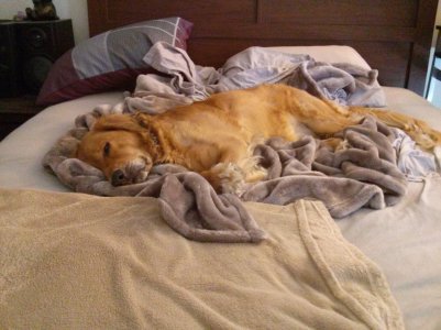 2013-06-15 16.58.22.jpg