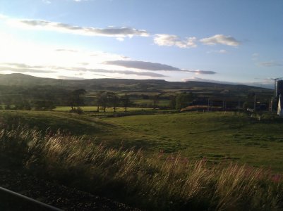 IMG_20110821_194549.jpg