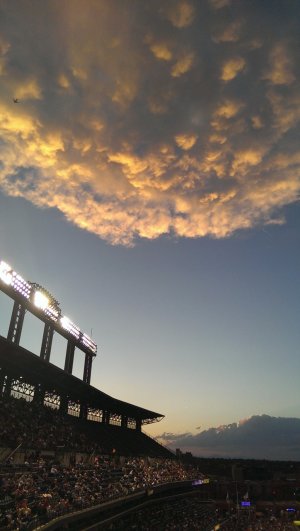 IMAG0135.jpg
