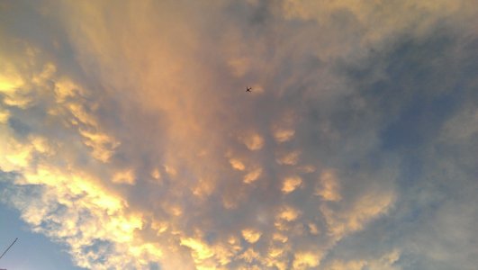 IMAG0134.jpg
