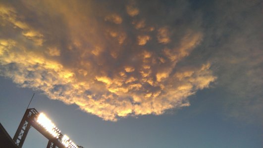 IMAG0133.jpg