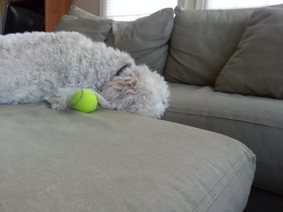 20130206_143252.jpg