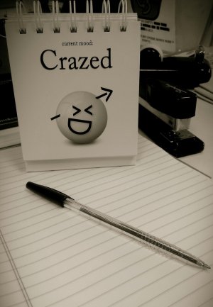 crazed.jpg