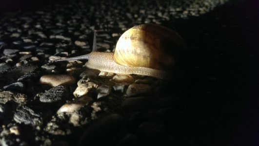 IMAG0193.jpg
