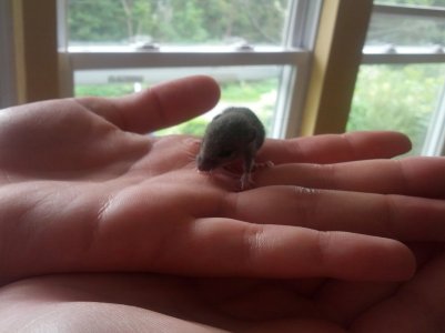 2012-09-02 13.31.45.jpg
