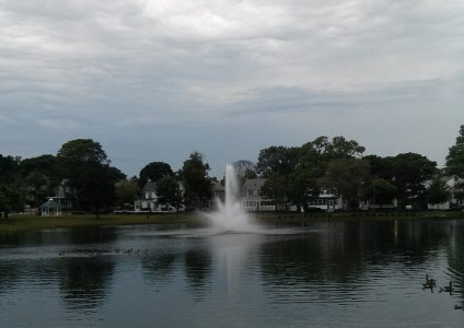 pond.jpg