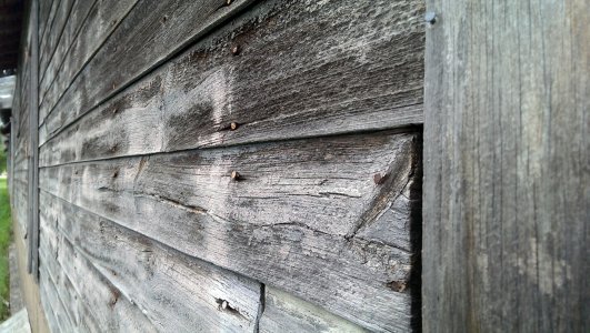 IMAG0091.jpg