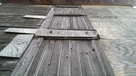 IMAG0092.jpg