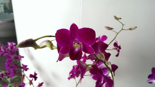 IMAG1458.jpg